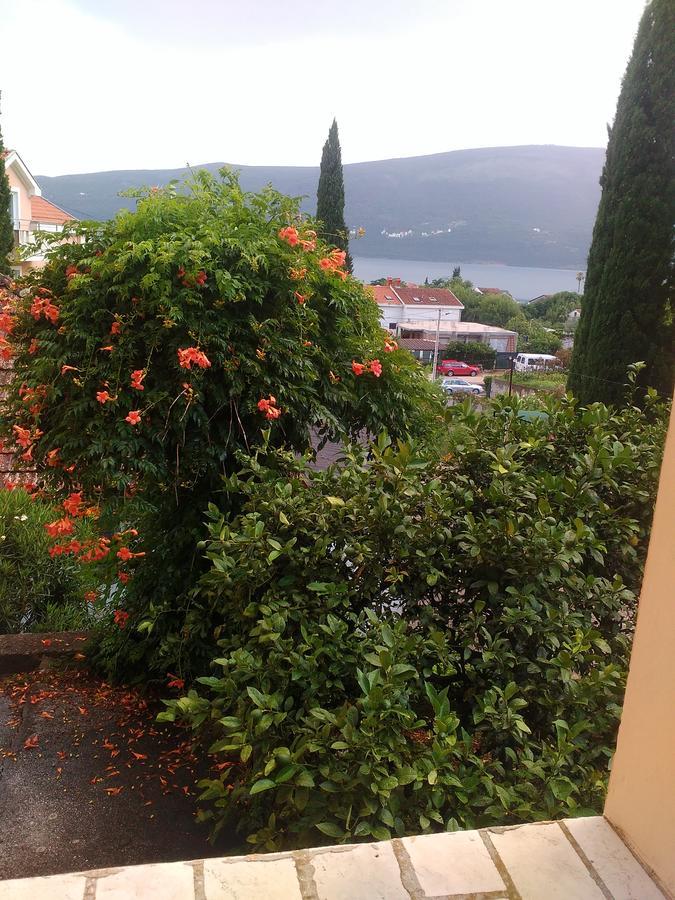 Sobe Baosici Marina Hotel Herceg Novi Buitenkant foto